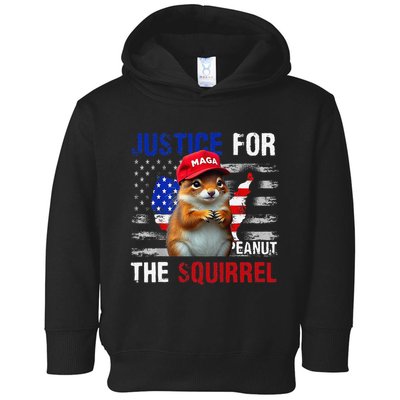 Justice For Peanut The Squirrel Peanut Squirrel Toddler Hoodie