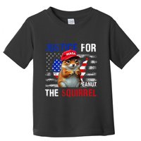Justice For Peanut The Squirrel Peanut Squirrel Toddler T-Shirt