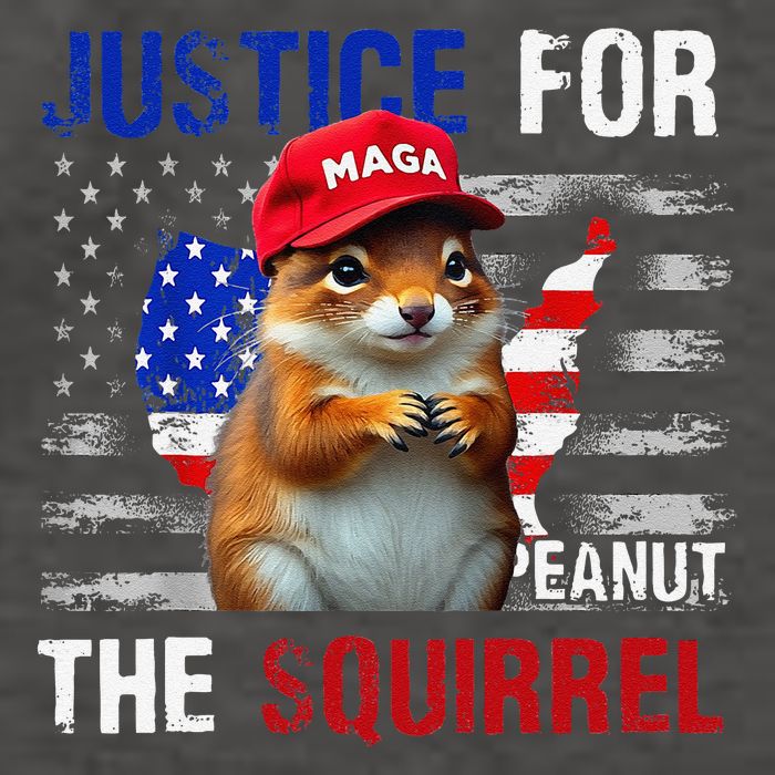 Justice For Peanut The Squirrel Peanut Squirrel Vector Backpack