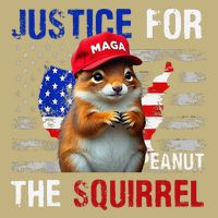 Justice For Peanut The Squirrel Peanut Squirrel T-Shirt
