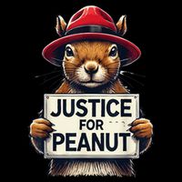 Justice For Peanut The Squirrel Wanted Cropped Pullover Crew