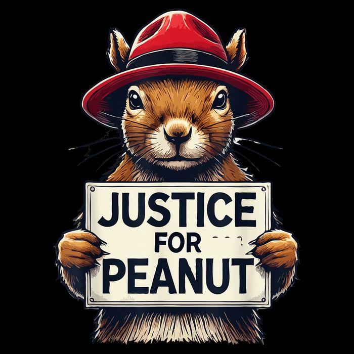 Justice For Peanut The Squirrel Wanted Cropped Pullover Crew