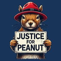 Justice For Peanut The Squirrel Wanted Pom Pom 12in Knit Beanie