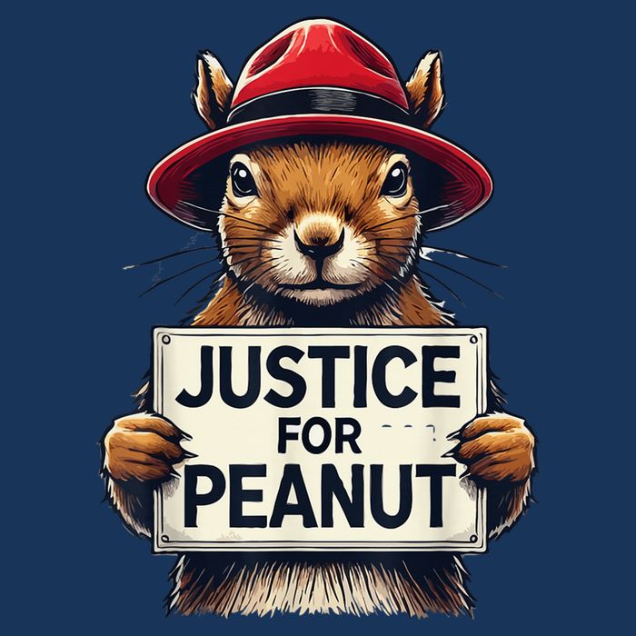 Justice For Peanut The Squirrel Wanted Pom Pom 12in Knit Beanie