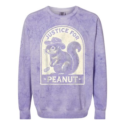 Justice For Peanut The Squirrel Peanut Squirrel Wanted Colorblast Crewneck Sweatshirt