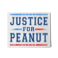 Justice For Peanut The Squirrel Peanut Squirrel Mousepad