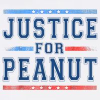 Justice For Peanut The Squirrel Peanut Squirrel Mousepad