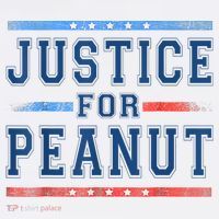 Justice For Peanut The Squirrel Peanut Squirrel Women's T-Shirt