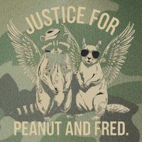 Justice For Peanut And Fred Peanut Squirrel Fred Raccoon Legacy Tie Dye Trucker Hat