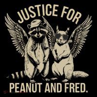 Justice For Peanut And Fred Peanut Squirrel Fred Raccoon Tall T-Shirt