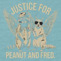 Justice For Peanut And Fred Peanut Squirrel Fred Raccoon Sueded Cloud Jersey T-Shirt
