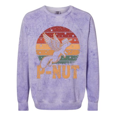 Justice For Peanut P’Nut Pnut Squirrel Lover Colorblast Crewneck Sweatshirt