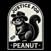 Justice For Peanut The Squirrel Peanut Squirrel Wool Snapback Cap