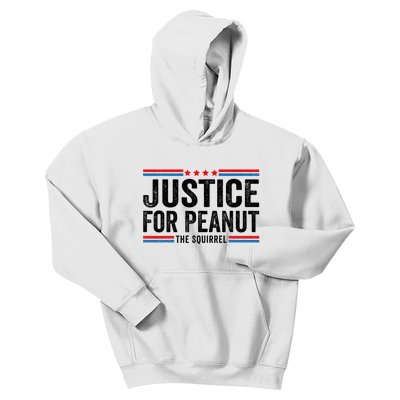 Justice For Peanut The Squirrel Peanut Squirrel Kids Hoodie