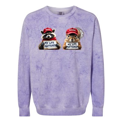 Justice For Peanut The Squirrel And Fred The Raccoon Colorblast Crewneck Sweatshirt