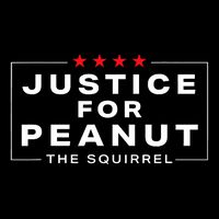 Justice For Peanut The Squirrel Peanut Squirrel Trending Design Mousepad
