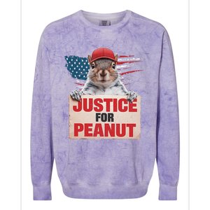 Justice For Peanut The Squirrel Peanut Squirrel Lovers America Flag Design Colorblast Crewneck Sweatshirt