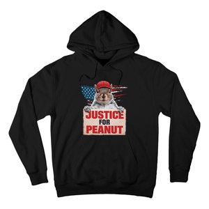 Justice For Peanut The Squirrel Peanut Squirrel Lovers America Flag Design Hoodie