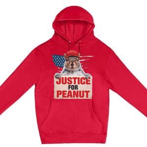 Justice For Peanut The Squirrel Peanut Squirrel Lovers America Flag Design Premium Pullover Hoodie