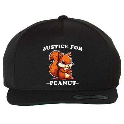 Justice For Peanut The Squirrel & Fred The Racoon Wool Snapback Cap