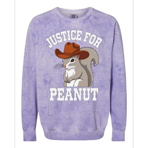 Justice For Peanut The Squirrel 2024 Colorblast Crewneck Sweatshirt