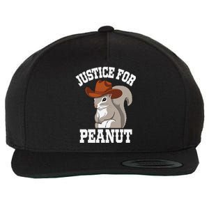 Justice For Peanut The Squirrel 2024 Wool Snapback Cap