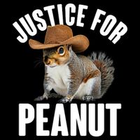 Justice For Peanut The Squirrel Tall Hoodie