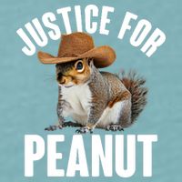 Justice For Peanut The Squirrel Sueded Cloud Jersey T-Shirt