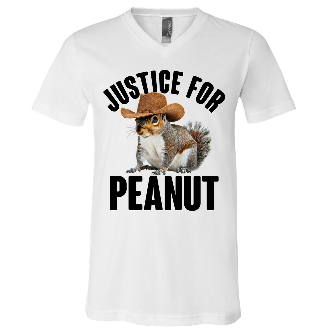 Justice For Peanut The Squirrel V-Neck T-Shirt