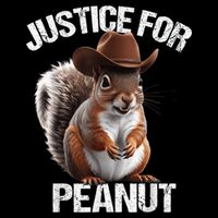 Justice For Peanut The Squirrel Cowboy Hat Peanut Squirrel Cropped Pullover Crew