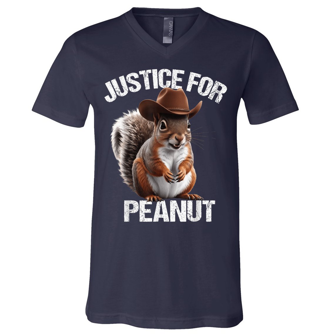 Justice For Peanut The Squirrel Cowboy Hat Peanut Squirrel V-Neck T-Shirt