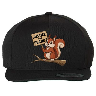 Justice For Peanut The Squirrel P’Nut Pnut Peanut Wool Snapback Cap