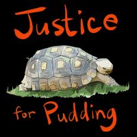 Justice For Pudding Visor