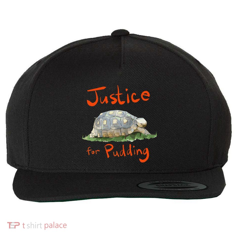 Justice For Pudding Wool Snapback Cap