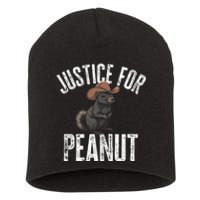 Justice For Peanut The Squirrel Peanut Squirrel Short Acrylic Beanie