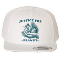 Justice For Peanut The Squirrel Peanut Squirrel Trending Wool Snapback Cap