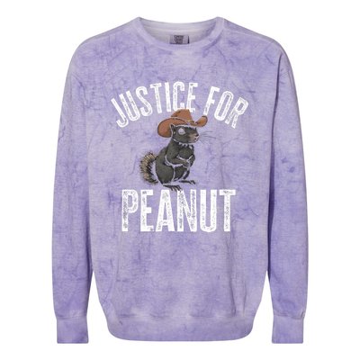 Justice For Peanut The Squirrel Peanut Squirrel Design Colorblast Crewneck Sweatshirt