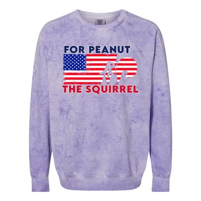 Justice For Peanut P’Nut Pnut Squirrel Trump 2024 Colorblast Crewneck Sweatshirt