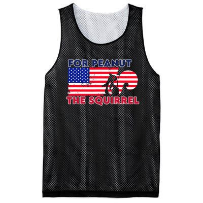 Justice For Peanut P’Nut Pnut Squirrel Trump 2024 Mesh Reversible Basketball Jersey Tank