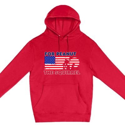 Justice For Peanut P’Nut Pnut Squirrel Trump 2024 Premium Pullover Hoodie