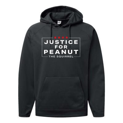 Justice For Peanut The Squirrel Peanut Squirrel Design Performance Fleece Hoodie