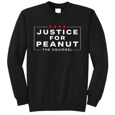 Justice For Peanut The Squirrel Peanut Squirrel Design Sweatshirt