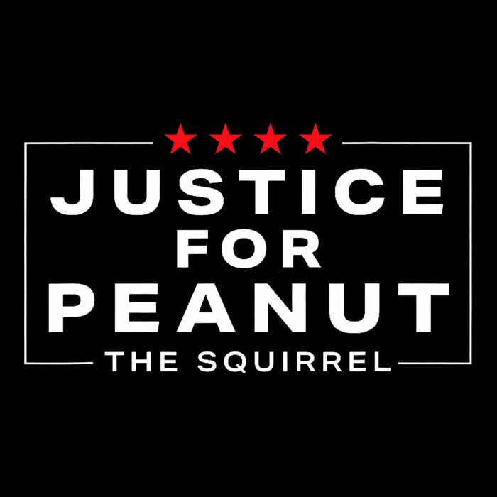 Justice For Peanut The Squirrel Peanut Squirrel Design T-Shirt