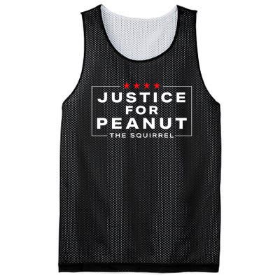 Justice For Peanut The Squirrel Peanut Squirrel Design Mesh Reversible Basketball Jersey Tank