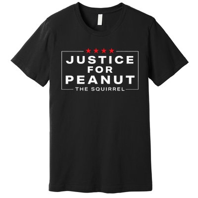 Justice For Peanut The Squirrel Peanut Squirrel Design Premium T-Shirt