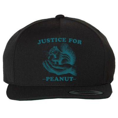 Justice For Peanut The Squirrel Peanut Squirrel Wool Snapback Cap