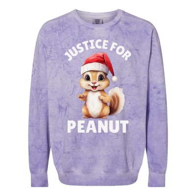 Justice For Peanut The Squirrel Justice For Fred The Raccoon Colorblast Crewneck Sweatshirt