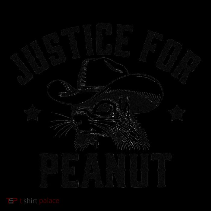 Justice For Peanut The Squirrel Peanut Squirrel Wool Snapback Cap