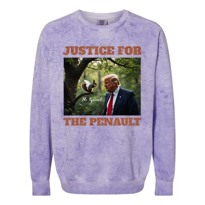 Justice For Peanut The Squirrel Maga Trump 2024 Vote Trump Colorblast Crewneck Sweatshirt