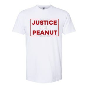 Justice For Peanut The Squirrel Peanut Squirrel Softstyle CVC T-Shirt